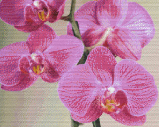 Orchid Sixteen [16] Baseplate PixelHobby Mini-mosaic Art Kit